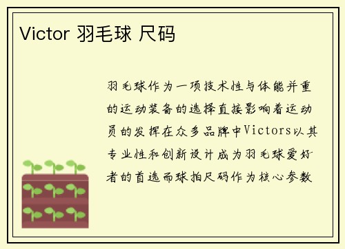 Victor 羽毛球 尺码