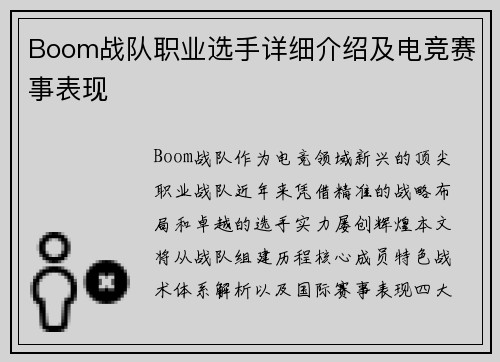 Boom战队职业选手详细介绍及电竞赛事表现